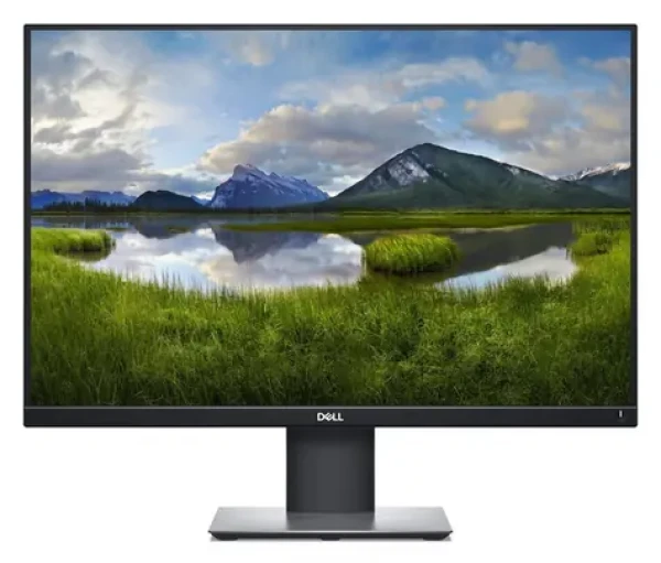 24.1" DELL P2421 čierna / Monitor / IPS / WUXGA / 16:10 / HDMI+DP (P2421)