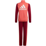 Tepláková súprava Adidas G TR TS Jr HE2002 164CM