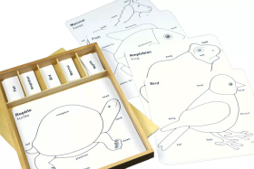 Moyo Montessori Moyo Montessori Sada aktivít k zoologickým puzzle (popisky v ANJ)