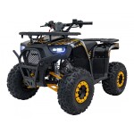 Mamido Detská benzínová štvorkolka RamiGO DISCOVERER 125CC čierno-oranžová