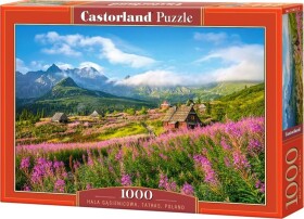 Castorland Puzzle 1000 elementów - Hala Gąsienicowa, Tarty, Polske