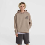 O'Neill Future Surf Society Hoodie 92800613454