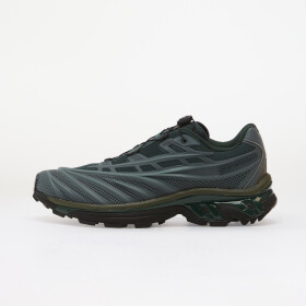 Tenisky Salomon XT-EVO Stormw/ Dark S/ Grape Leaf EUR 43 1/3