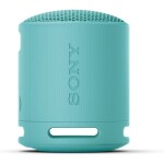 SONY SRS-XB100