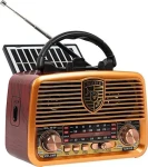 Blow RA10 / Rádio / Prenosné / Analógové / AM/FM / Bluetooth (77-540#)