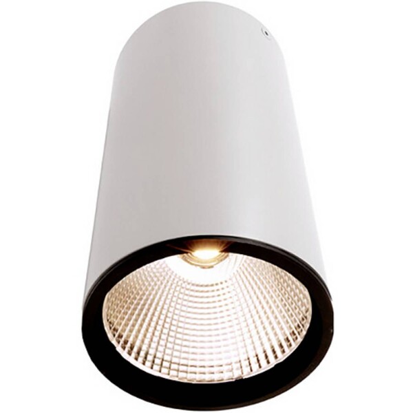Deko Light 348063 Luna Stropné svítidlo LED En.trieda 2021: G (A - G) 40.2 W biela; 348063