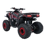 Mamido Detská benzínová štvorkolka RamiGO DISCOVERER 125CC čierno-červená