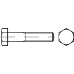 TOOLCRAFT TO-5442339 šesťhranná skrutka 38 mm 38 mm vonkajší šesťhran 83931 ocel 100 ks; TO-5442339