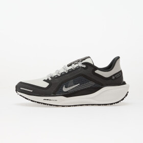 Tenisky Nike Pegasus 41 Gore-Tex Black/ Summit White-Anthracite-Iron Grey EUR 45
