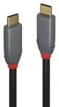 Lindy Anthra Line čierna / Kábel / USB-C - USB-C / 0,5 m / 10 Gbit/s / 5 A PD (36900)