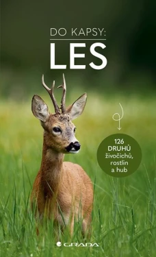 Les - Do kapsy, Wilhelmsenová Ute