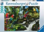 Ravensburger Farebné papagáje v džungli