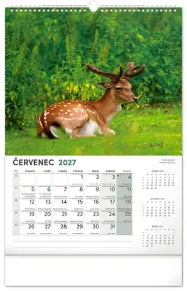 NOTIQUE Nástenný kalendár Poľovnícky 2027 / 33 × 46 cm