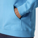 Helly Hansen HH Box Mikina M 53289 621 M