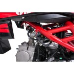 Mamido Detská benzínová motorka RamiGO ULTRA 66 125CC červená