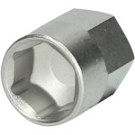 Špeciálna vložka šesťhranná s magnetom, 10,0 mm KS Tools 460.2617; 460.2617
