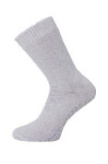 WiK 38393 Dámske ponožky Thermo ABS Cotton šedá 39-42