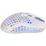 Endorfy LIX Plus Wireless biela / optická / bezdrôtová / herná / 19000 dpi / PAW3370 / 6 tlačidiel / RGB / USB-C (EY6A009)