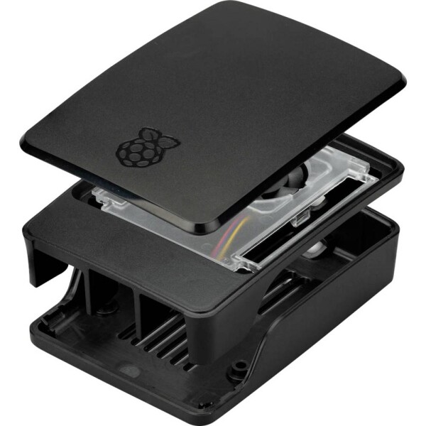 Raspberry Raspberry Pi