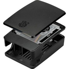 Raspberry Raspberry Pi