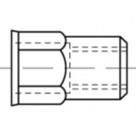 TOOLCRAFT TO-5380602 slepá nitovacie matice M6 nerezová ocel 500 ks; TO-5380602