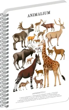 NOTIQUE Animalium - Sudokopytníci / Špirálový blok / A4 / čistý