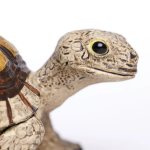 Safari Ltd. Safari Ltd. Mláďa korytnačky