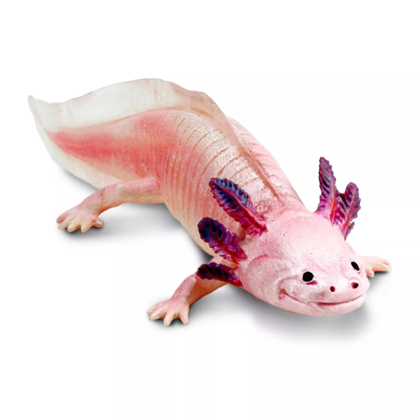 Safari Ltd. Safari Ltd. Figúrka - Axolotl