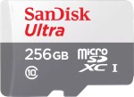 SanDisk Ultra MicroSDXC 256 GB Class 10 UHS-I (SDSQUNR-256G-GN6TA)