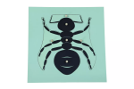 Moyo Montessori Moyo Montessori Puzzle - mravec