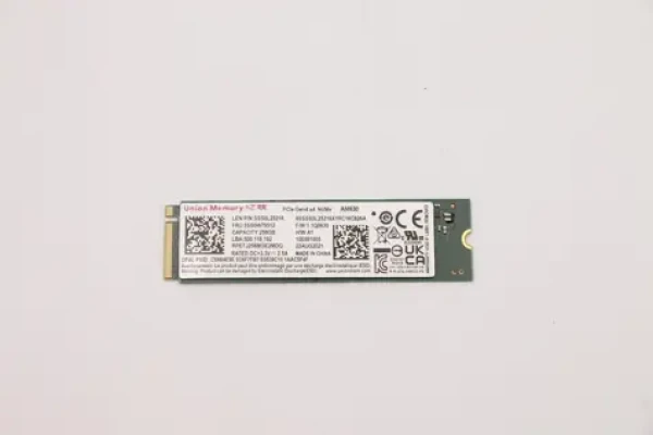 Lenovo SSD 256GB / SSD / M.2 2280 / PCIe 4.0 NVMe (5SS0W79512)