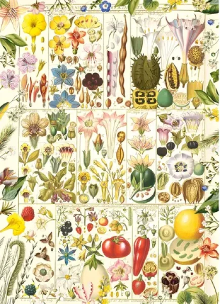 GIBSONS Puzzle Botanická blaženosť