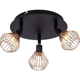 Brilliant Dalma 21034/76 stropná lampa halogénová žiarovka G9 99 W čierna, meď; 21034/76