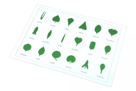 Moyo Montessori Moyo Montessori Tvary listov (karta)