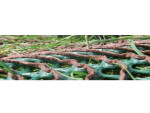 Zatrávňovacia rohož GP Flex 1800, (2 x 5 m) – 10 m2