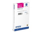 Epson Toner C13T907340 / T9073 (magenta)