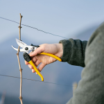 Záhradné nožnice jednoručné ALPEN Gelbhorn 150