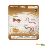 Safari Ltd. Safari Ltd. Životný cyklus - Dážďovka