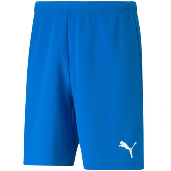 SPORT Pánske krátke nohavice teamRISE 704942 02 Light blue - Puma L světle modrá