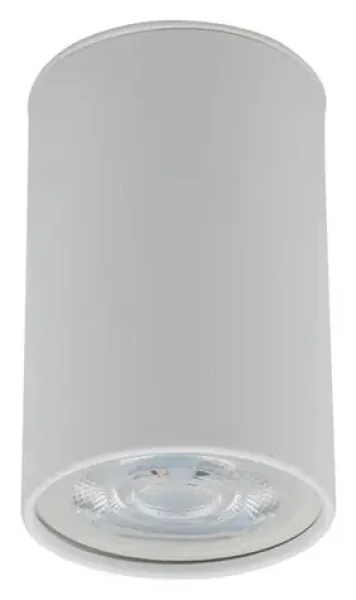 TK Lighting Top biela / Stropné bodové svietidlo / GU10 / max. 10W (5766)