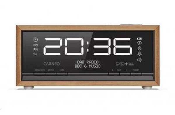 Carneo C100 hnedo-čierna / rádio / FM / Bluetooth 5.0 / 2.5W / displej (8588007861913)