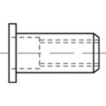 TOOLCRAFT TO-5380440 slepá nitovacie matice M4 nerezová ocel 500 ks; TO-5380440