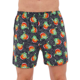 Pánske šortky 001/160 Classic - CORNETTE šedá M