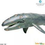 Safari Ltd. Safari Ltd. Plejtvákovec sivý