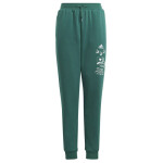 Adidas BLUV Q3 Pant Jr IA1553 cm