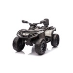 Mamido Detská elektrická štvorkolka Can-Am Outlander ATV 4x200W sivá