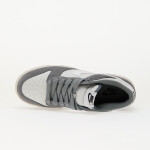 Tenisky Nike Dunk Low Retro Se Cool Grey/ White-Photon Dust-White EUR 40