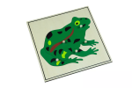 Moyo Montessori Moyo Montessori Puzzle - žaba