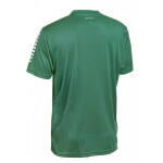 Vyberte si tričko Pisa U T26-01668 green 12 let