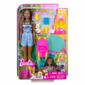 Mattel HDF74 Barbie Kempujúca bábika "Brooklyn"